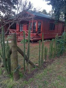 Complejo de Cabañas en alquiler en Necochea. 3 ambientes, 1 baño y capacidad de 3 a 5 personas. 